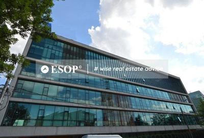 Spațiu comercial, de 636 mp, în Nordului - 14