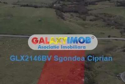 Teren de 1093 mp, în Tohanu Nou - 4