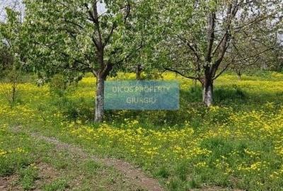 Teren 2.600 mp, utilități, Str. Merișor – Giurgiu - 8