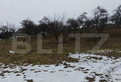 Teren de 1268 mp, în Mihai Viteazu - 3