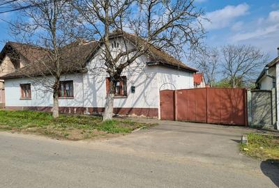 CASA CU TEREN  DE 3.000 MP IN LOCALITATEA GIARMATA LA 195.000 EURO - 4