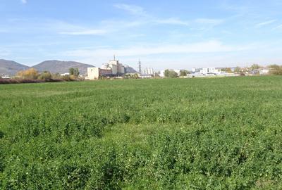 Vand teren intravilan in Deva suprafata totala 43 000 mp, zona Auchan - 5