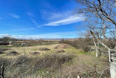 Teren de 2887 mp, în Barza - 7