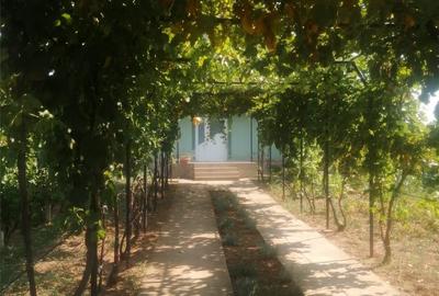 Casă cu 6 camere cu Teren 1000 Mp în Schela - 2