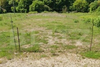 Teren intravilan de vanzare, 2472 mp, zona de pensiuni, ie - 1