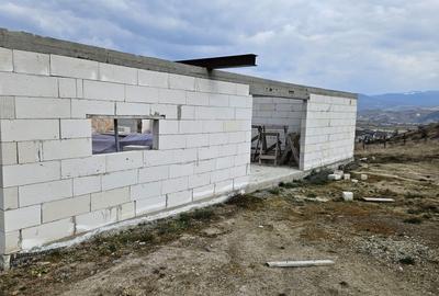 Casă cu 4 camere în Petru Rareș - 3