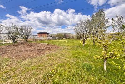 Teren Construcții intravilan de 1100 mp, în Unirea - 2