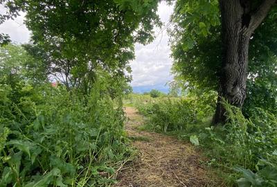 Teren 2133 m² cu utilitati si iesire la drum asfaltat – Clinceni - 14