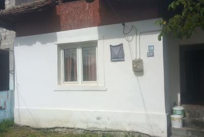 Casă cu Teren 8643 Mp în Târgu Cărbunești - 3