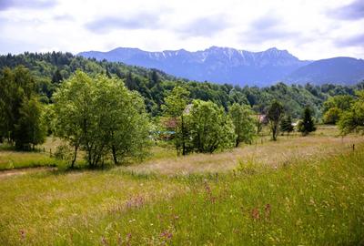 Teren intravilan - 1.050 mp în Bran cu utilitati – priveliște Bucegi - 2