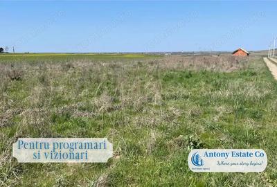 Teren intravilan de vanzare Paleu - 2