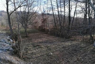 Teren de 1804 mp, în Arefu - 1