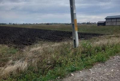 Teren de 7500 mp, în Mărăcineni - 1