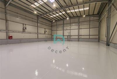 Hala industriala, 828 mp, Parc Industrial Prejmer. - 11