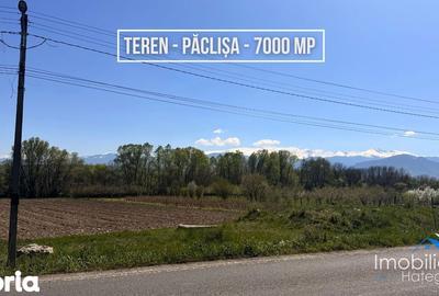 Teren de 6870 mp, în Totești - 5