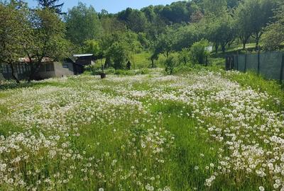 Casă individuală cu 3 camere cu Teren 3365 Mp în Bughea de Jos - 4