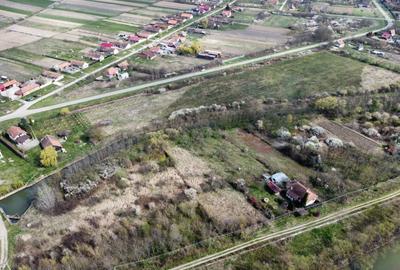 Teren intravilan Balint 22.500 mp - 5