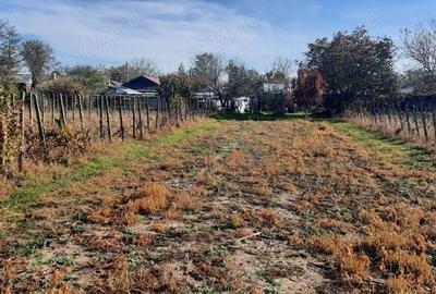 Teren de 1500 mp, în Vânători - 3