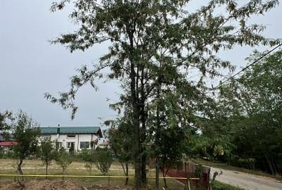 Teren Construcții intravilan de 960 mp, în Moșoaia - 2