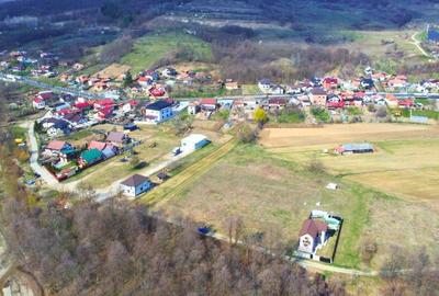 BUDESTI - TEREN 2550 MP - 1