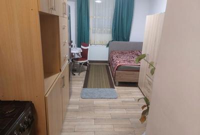 Garsonieră nedecomandată în Traian - 8