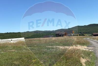 Teren 3,757mp Paltinoasa / Strada principala - 14