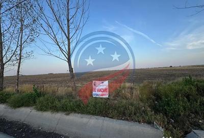 Teren de 9743 mp, în Valea Rosie - 1