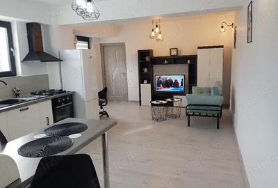 Apartament cu 2 camere semidecomandat în Lipovei - 9