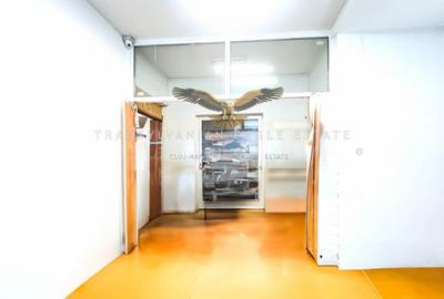 Oportunitate de inchiriere a unui spatiu industrial si de productie - 10