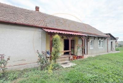 Casă individuală cu 3 camere cu Teren 3263 Mp în Carei - 17