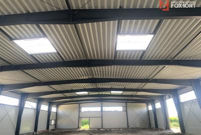 Hala de inchiriat cu platforma betonata de 1334 mp, zona Sanandrei Hala de inchiriat cu platforma betonata de 1334 mp, zona Sanandrei - 1