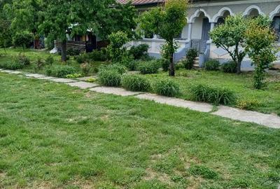 Casa Crevedia Mare Giurgiu Casa Crevedia Mare Giurgiu - 7