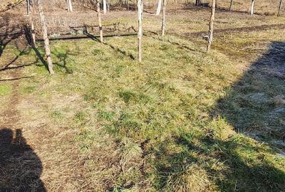 Casă cu Teren 2000 Mp în Ițcani - 1