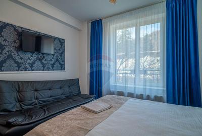 Vila de Lux in Sta?iunea Bu?teni Investi?ie in D... Vila de Lux in Sta?iunea Bu?teni Investi?ie in D... - 18