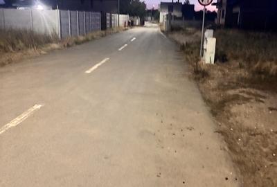 Domnesti- Ilfov, Str Teiului Teren - 4