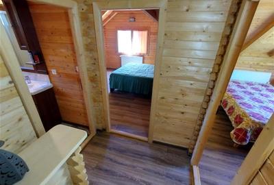 Casă individuală cu 3 camere cu Canalizare în Ciclova Română - 38