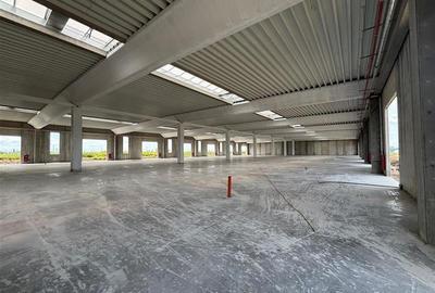 Vanzare depozit/spatiu industrial/hala Chitila - Rudeni, ILFOV - 2