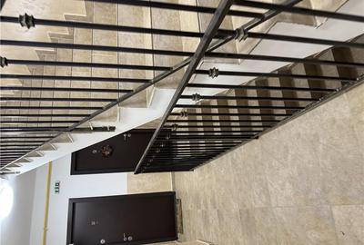 Apartament cu 2 camere decomandat, mobilat în Lunca Cetățuii - 18