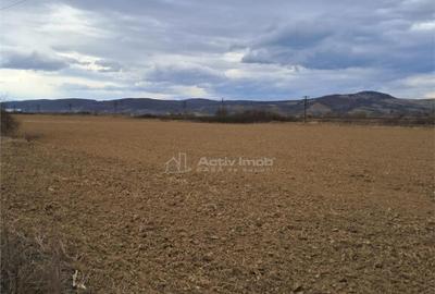 Teren 5000 mp langa E68 - 5