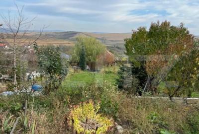 Teren de 1590 mp, în Dezmir