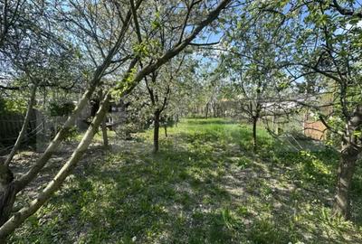 Teren în Bercu Roșu - 6