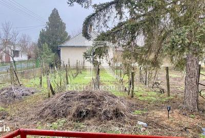 Casă cu 4 camere în Santăul Mare - 11