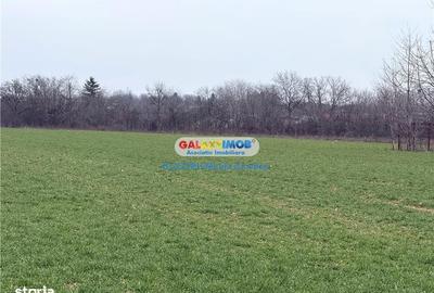 Teren de 9503 mp, în Central - 2