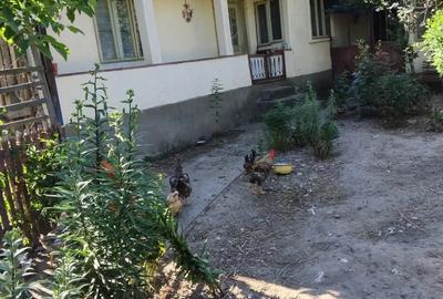 Vand casa Campuri