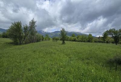 Teren intravilan - 2 minute de centru Prundu Bargaului - ... - 4