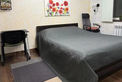 Apartament cu o camera de inchiriat in zona Bucovina - 3