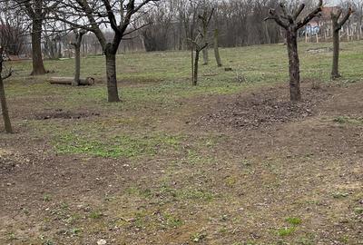Teren de 1800 mp, în Coșoveni - 2