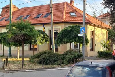 Spa?iu comercial 40?mp Drubeta Memorandului, Elisabetin
