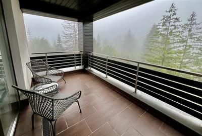 Proprietate exclusivista 4 camere Silver Mountain - 15