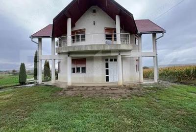 Casa cu teren 5.900 mp comuna Gheorghe Doja - 9